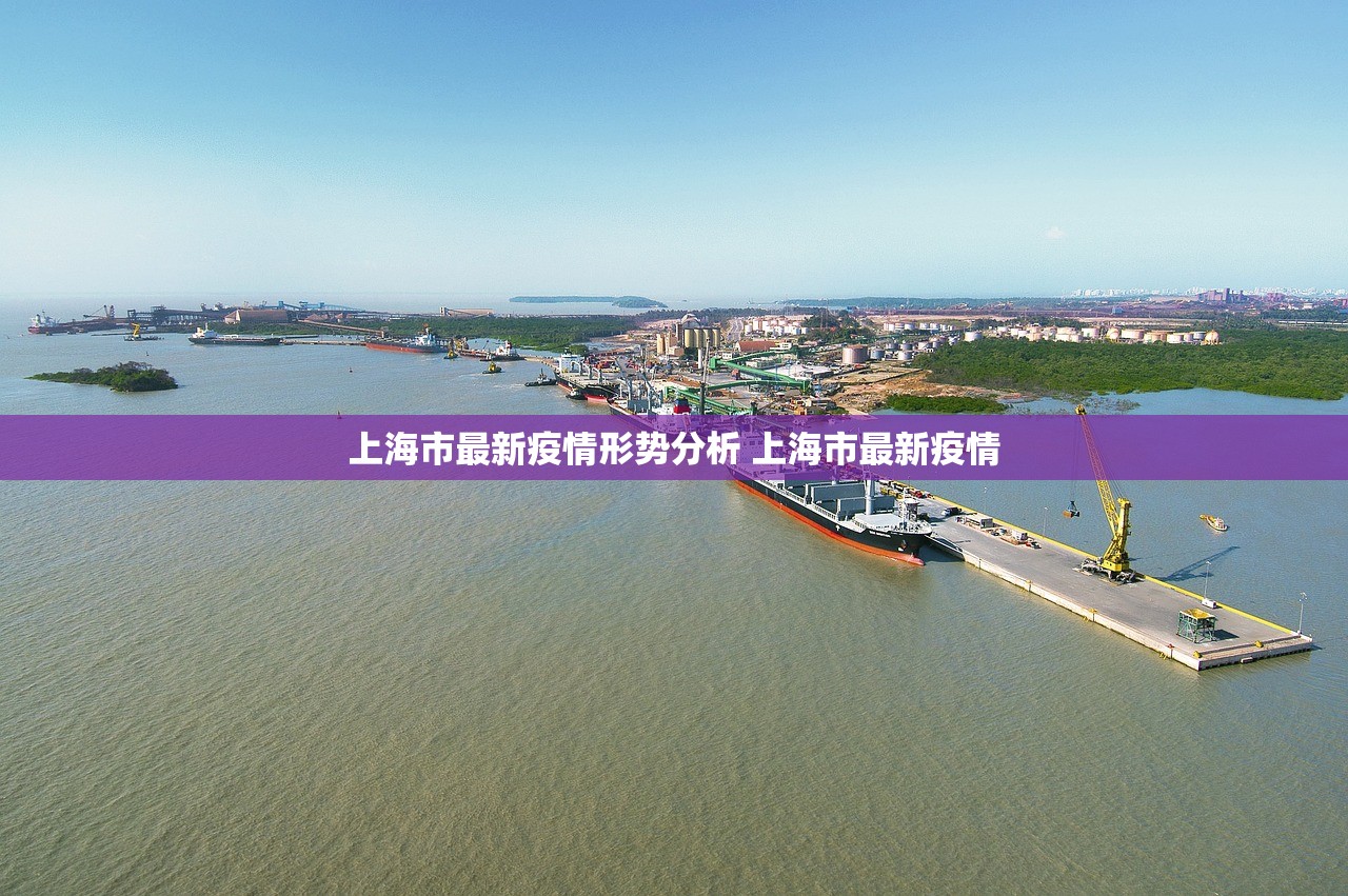 上海市最新疫情形势分析 上海市最新疫情