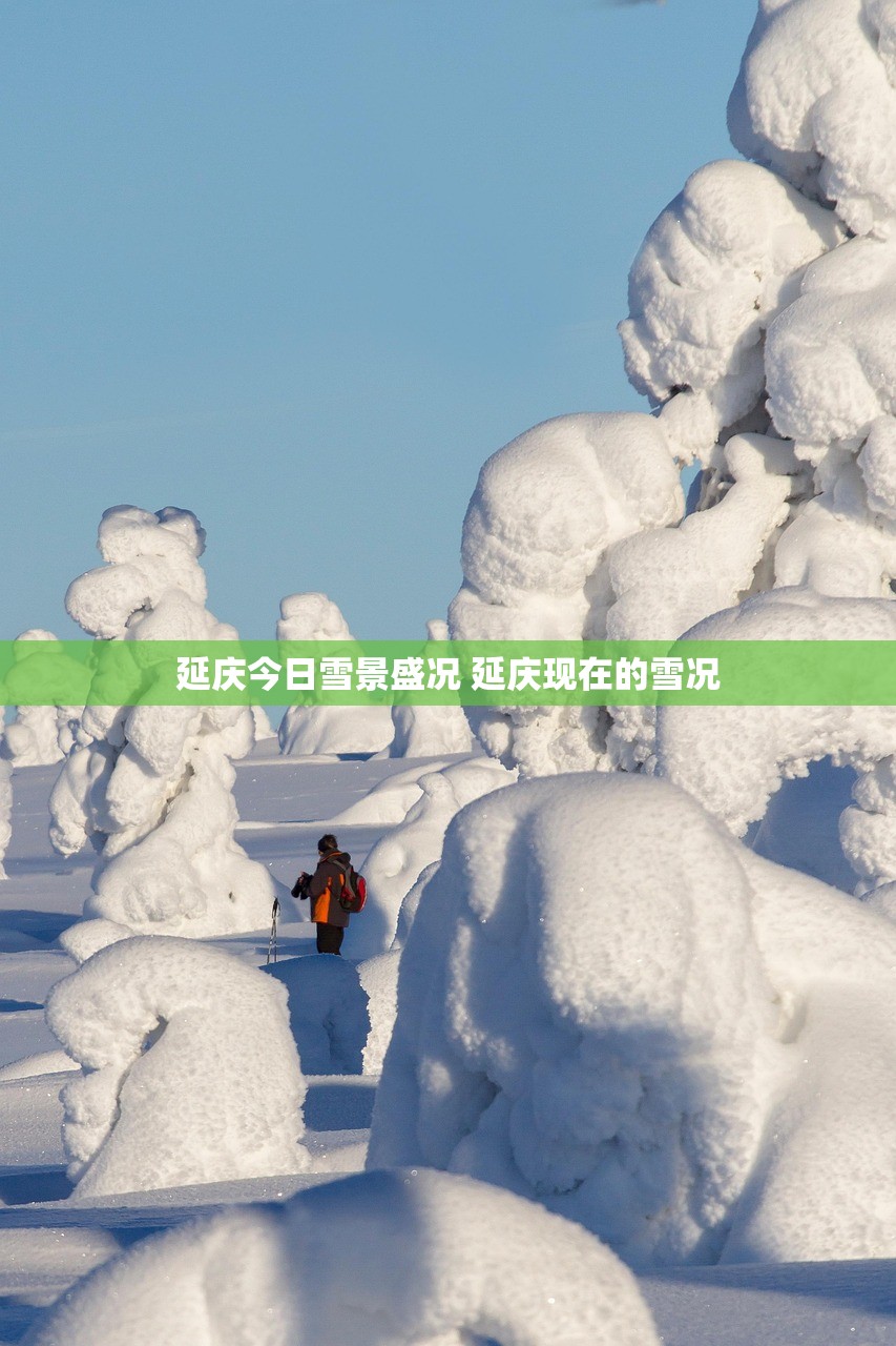 延庆今日雪景盛况 延庆现在的雪况