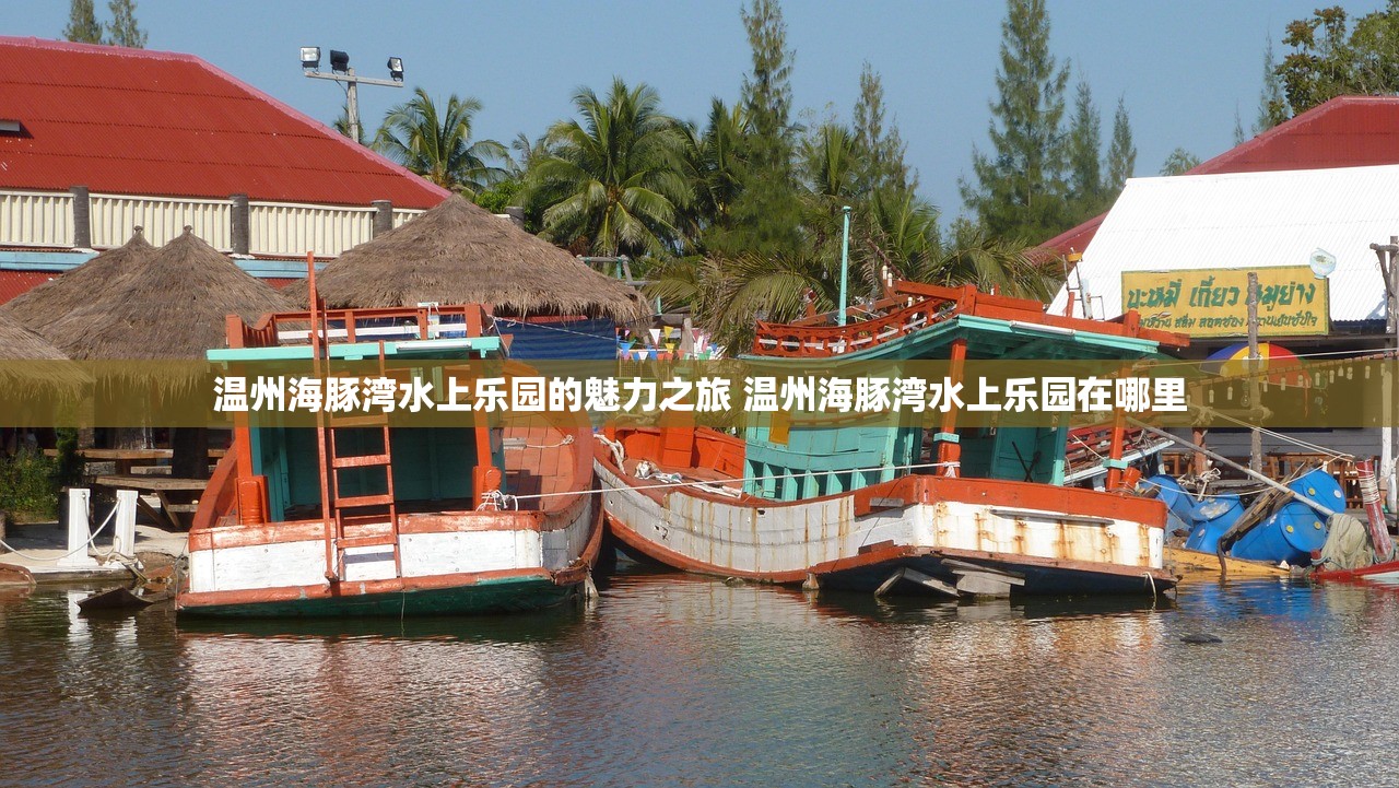 温州海豚湾水上乐园的魅力之旅 温州海豚湾水上乐园在哪里