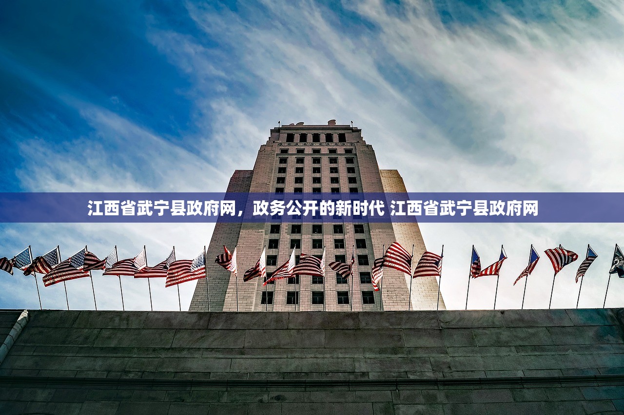 江西省武宁县政府网，政务公开的新时代 江西省武宁县政府网