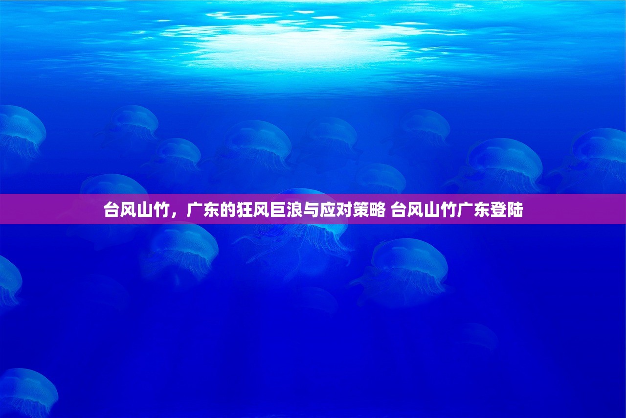 台风山竹，广东的狂风巨浪与应对策略 台风山竹广东登陆