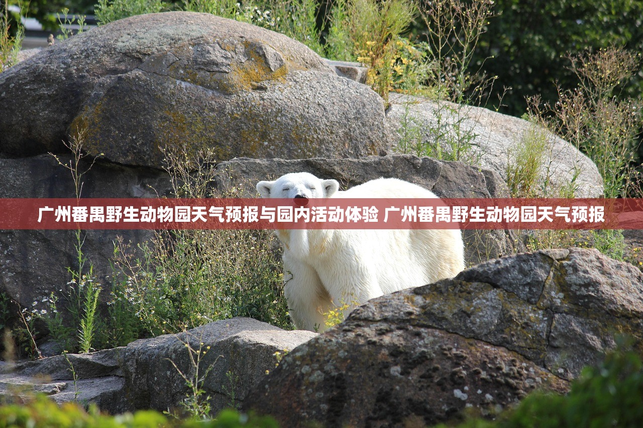 广州番禺野生动物园天气预报与园内活动体验 广州番禺野生动物园天气预报
