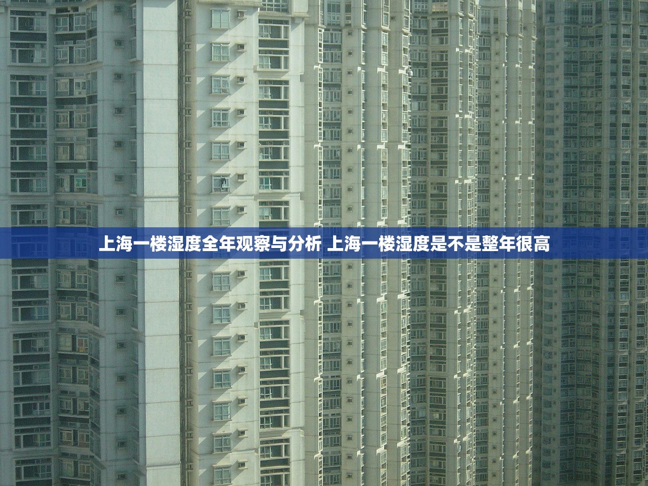 上海一楼湿度全年观察与分析 上海一楼湿度是不是整年很高 上海一楼湿度全年观察与分析 上海一楼湿度是不是整年很高