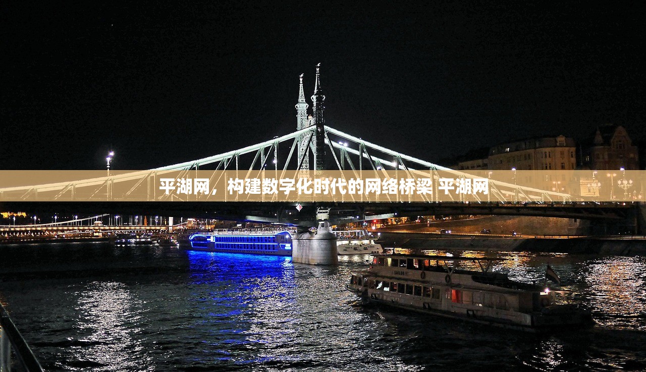 平湖网，构建数字化时代的网络桥梁 平湖网