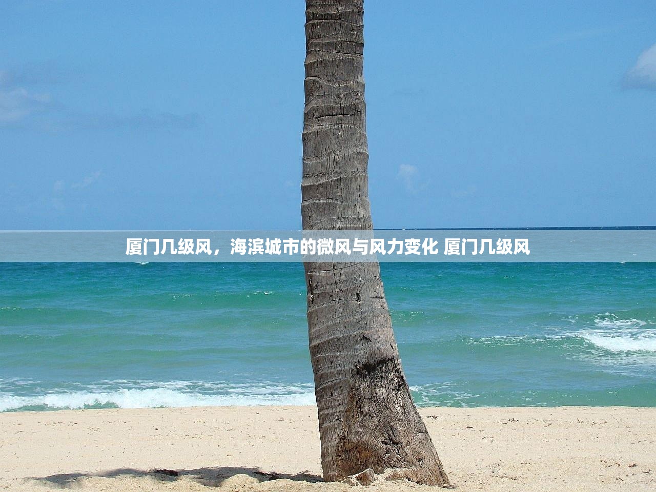 厦门几级风，海滨城市的微风与风力变化 厦门几级风