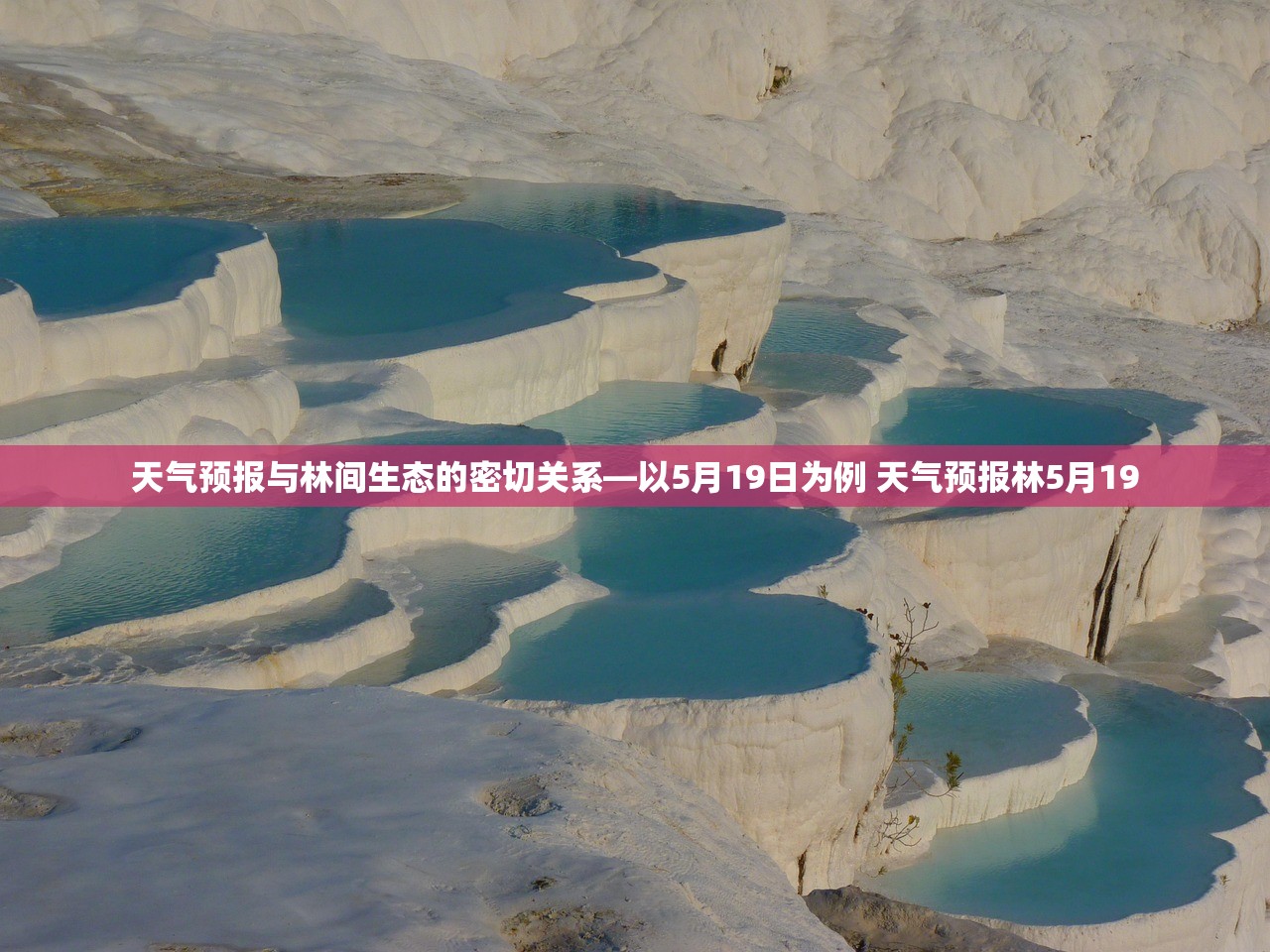 天气预报与林间生态的密切关系—以5月19日为例 天气预报林5月19
