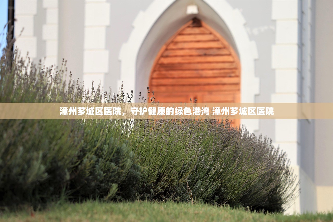 漳州芗城区医院，守护健康的绿色港湾 漳州芗城区医院