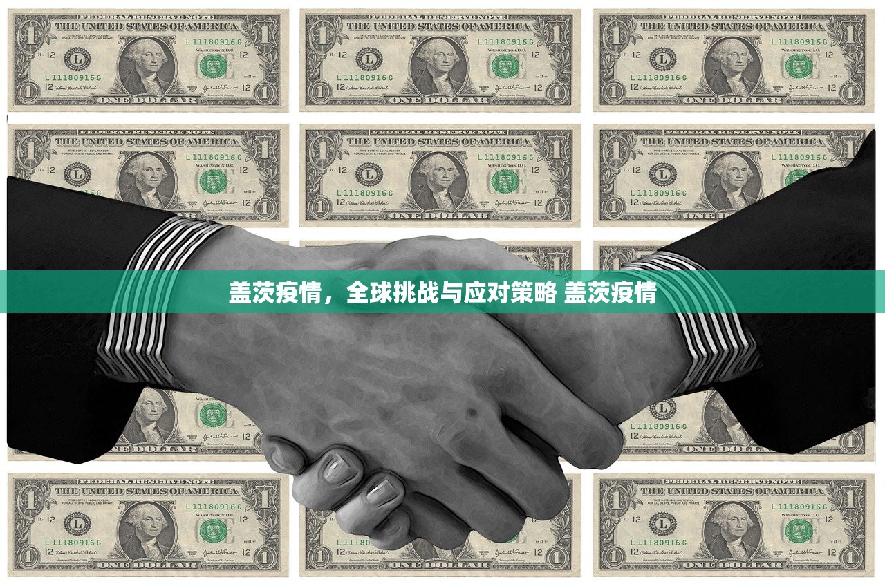 盖茨疫情，全球挑战与应对策略 盖茨疫情