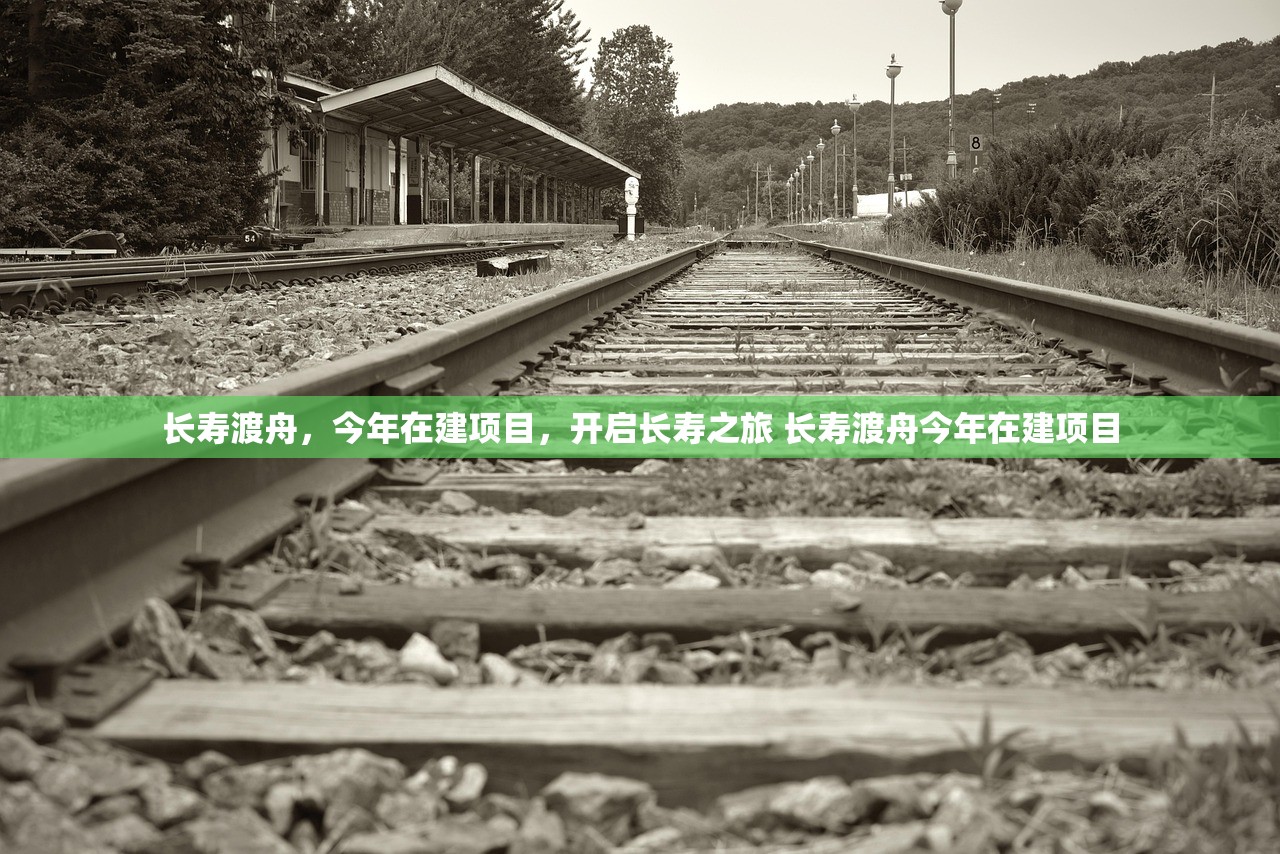 长寿渡舟，今年在建项目，开启长寿之旅 长寿渡舟今年在建项目