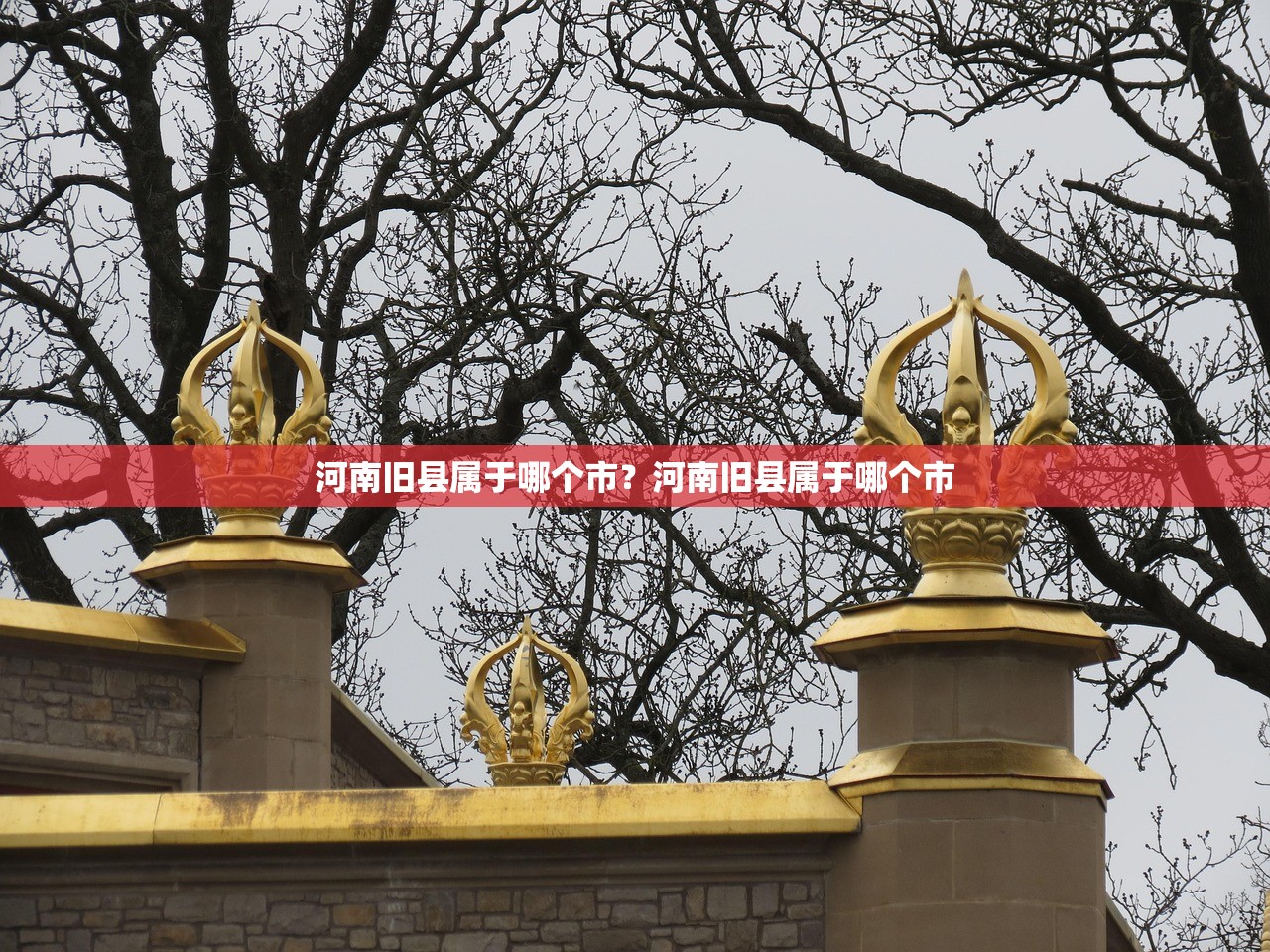 河南旧县属于哪个市？河南旧县属于哪个市