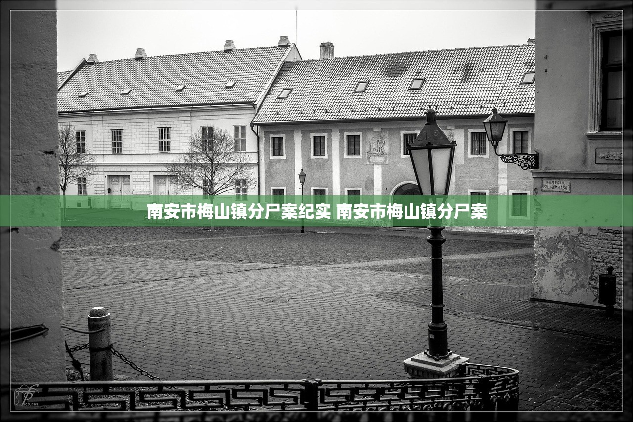 南安市梅山镇分尸案纪实 南安市梅山镇分尸案