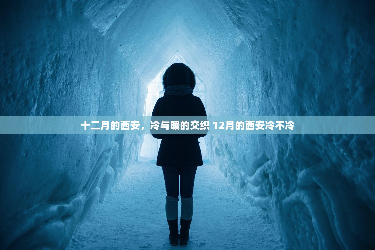 十二月的西安，冷与暖的交织 12月的西安冷不冷