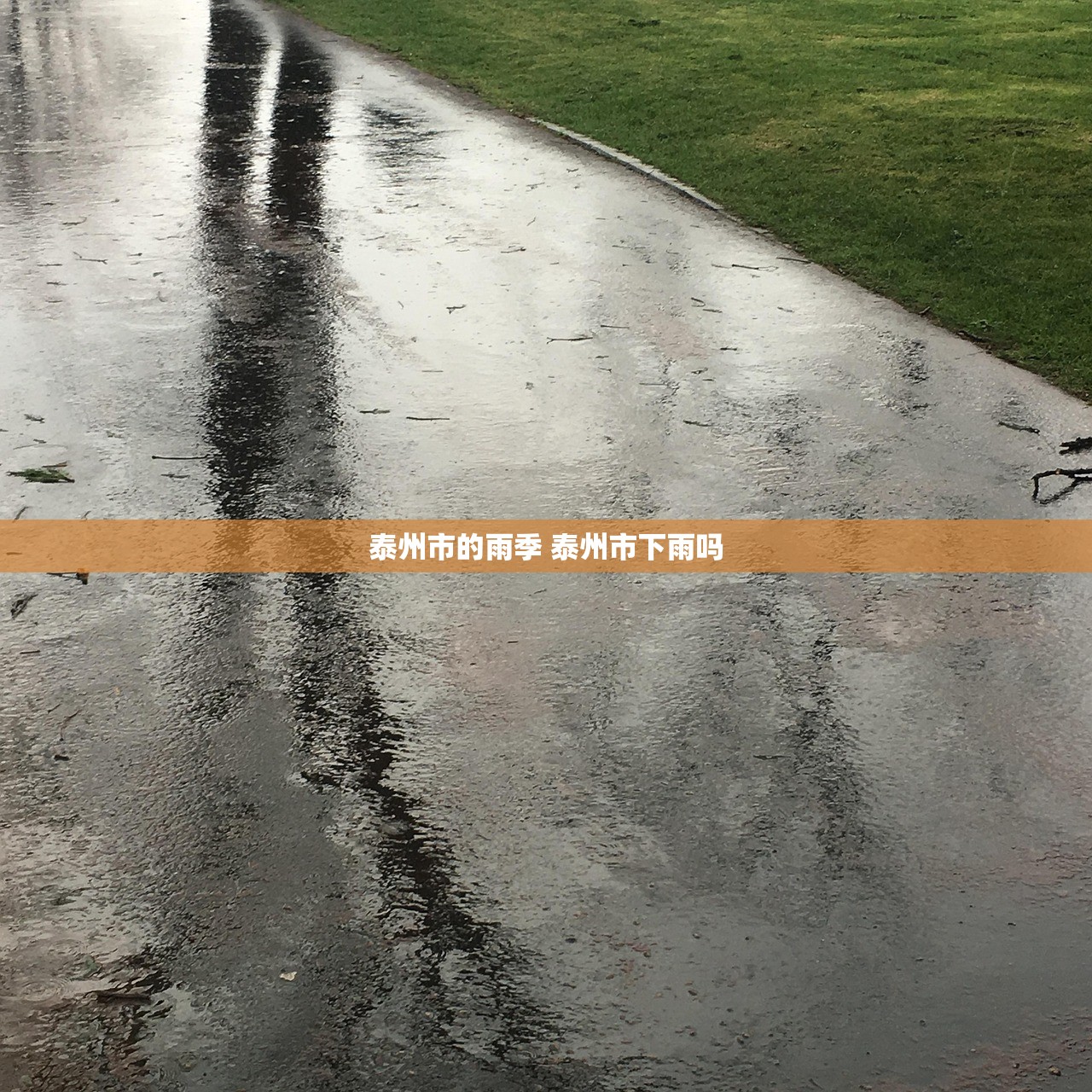 泰州市的雨季 泰州市下雨吗