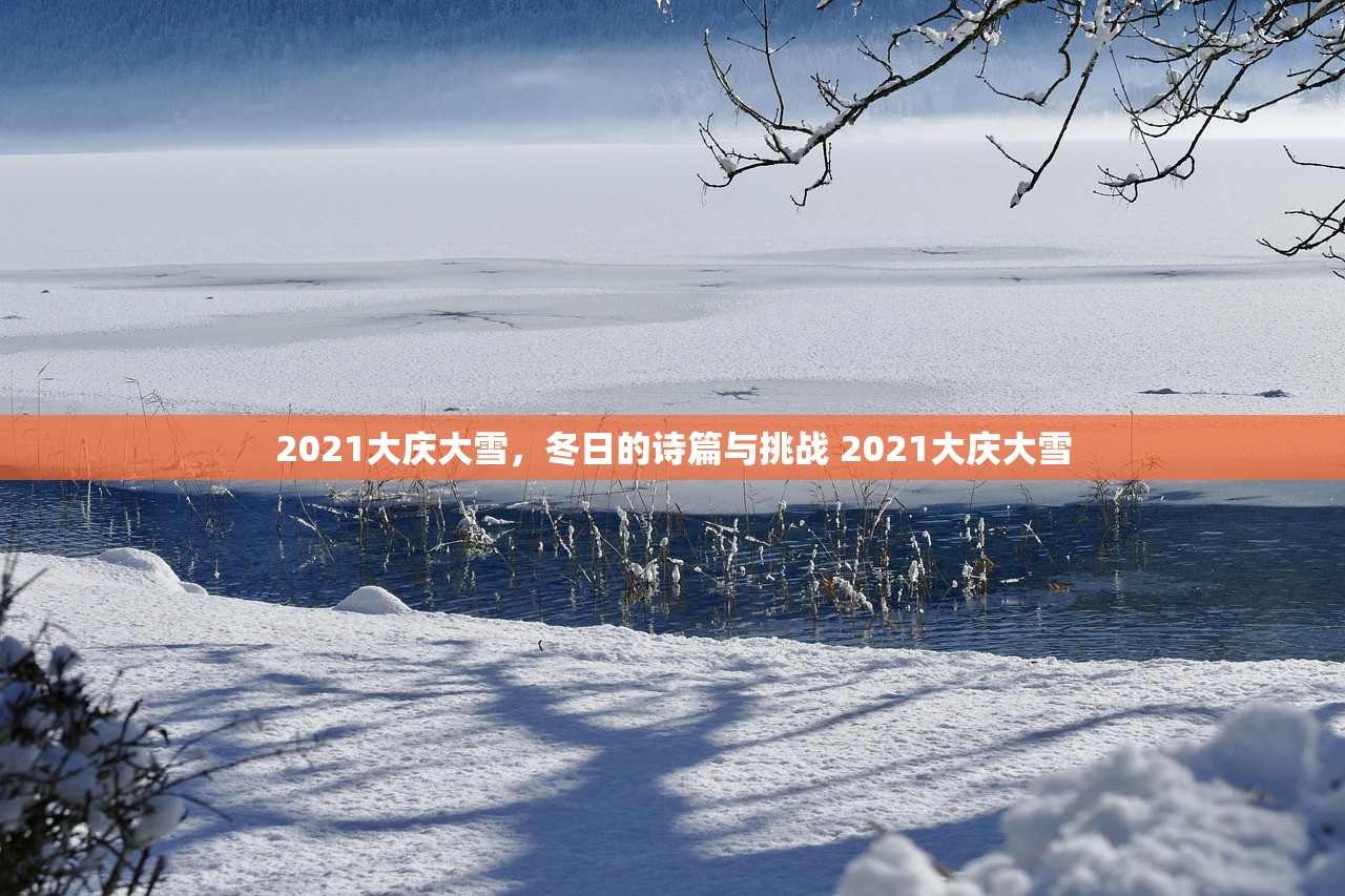 2021大庆大雪，冬日的诗篇与挑战 2021大庆大雪
