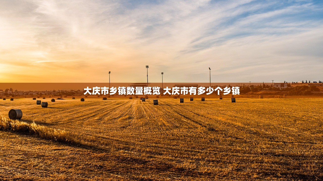 大庆市乡镇数量概览 大庆市有多少个乡镇