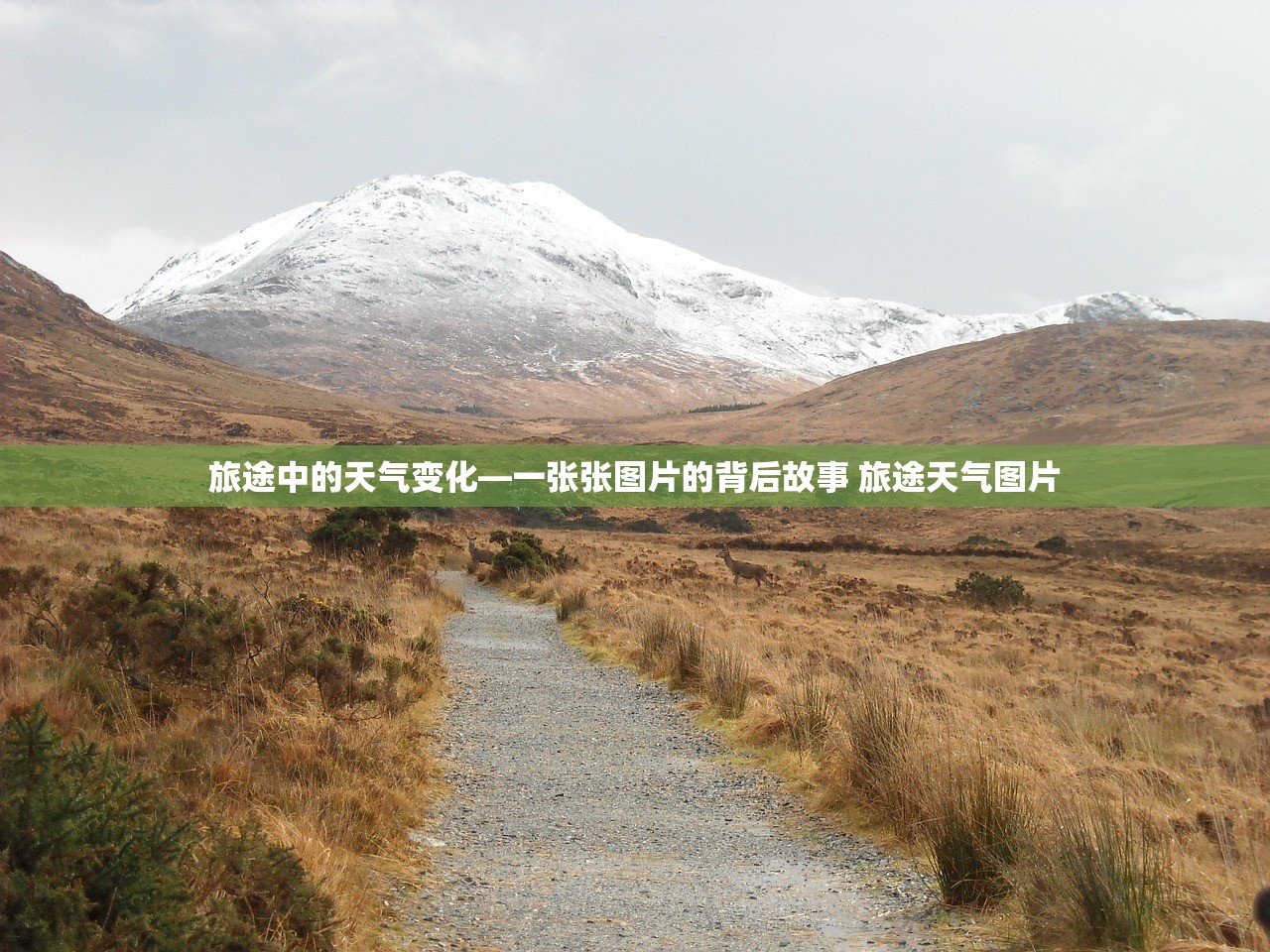旅途中的天气变化—一张张图片的背后故事 旅途天气图片
