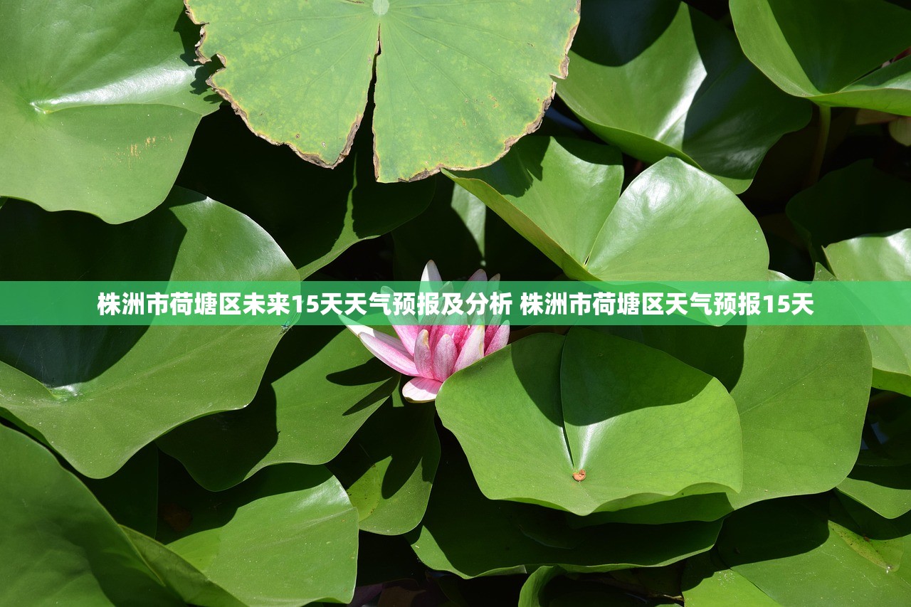 株洲市荷塘区未来15天天气预报及分析 株洲市荷塘区天气预报15天