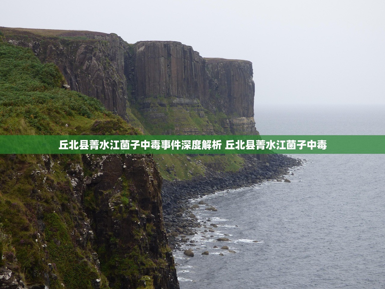 丘北县菁水江菌子中毒事件深度解析 丘北县菁水江菌子中毒