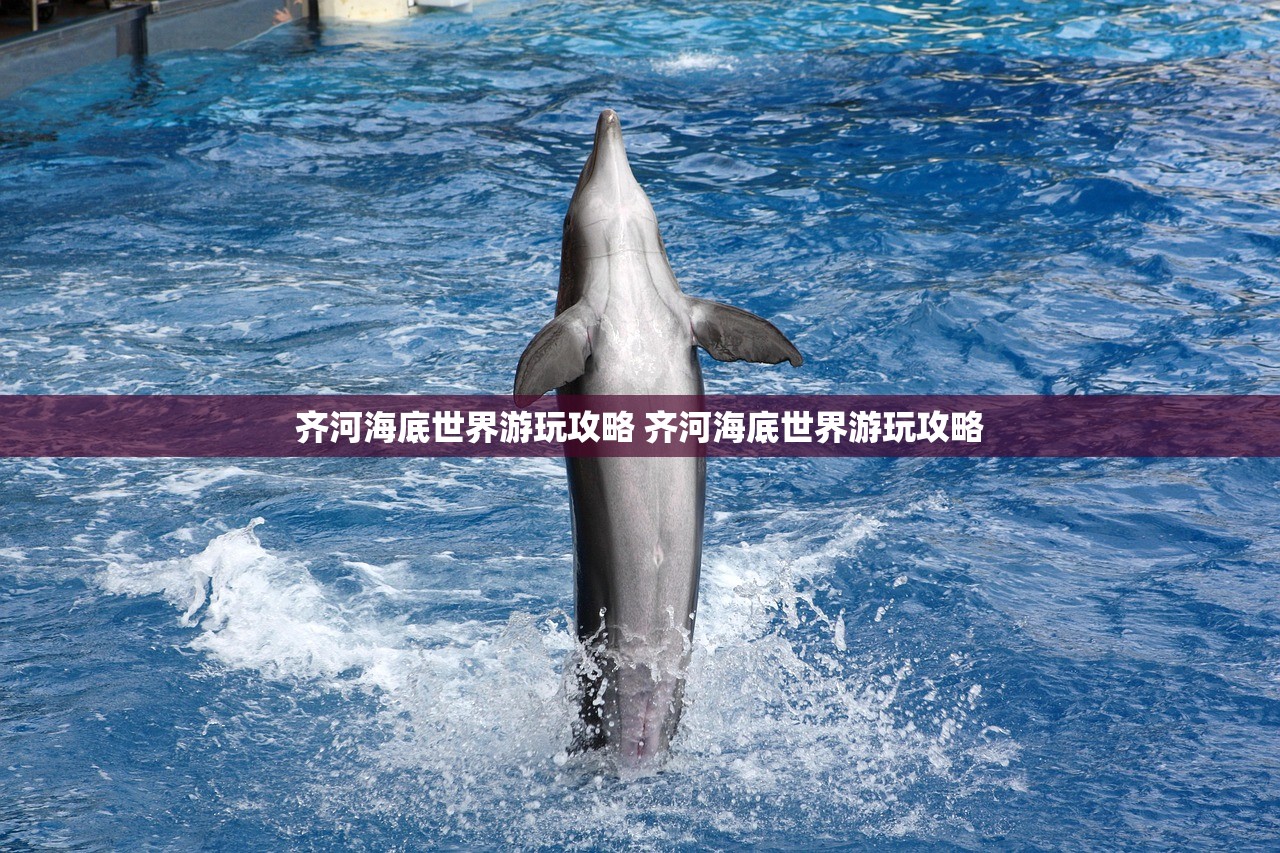 齐河海底世界游玩攻略 齐河海底世界游玩攻略