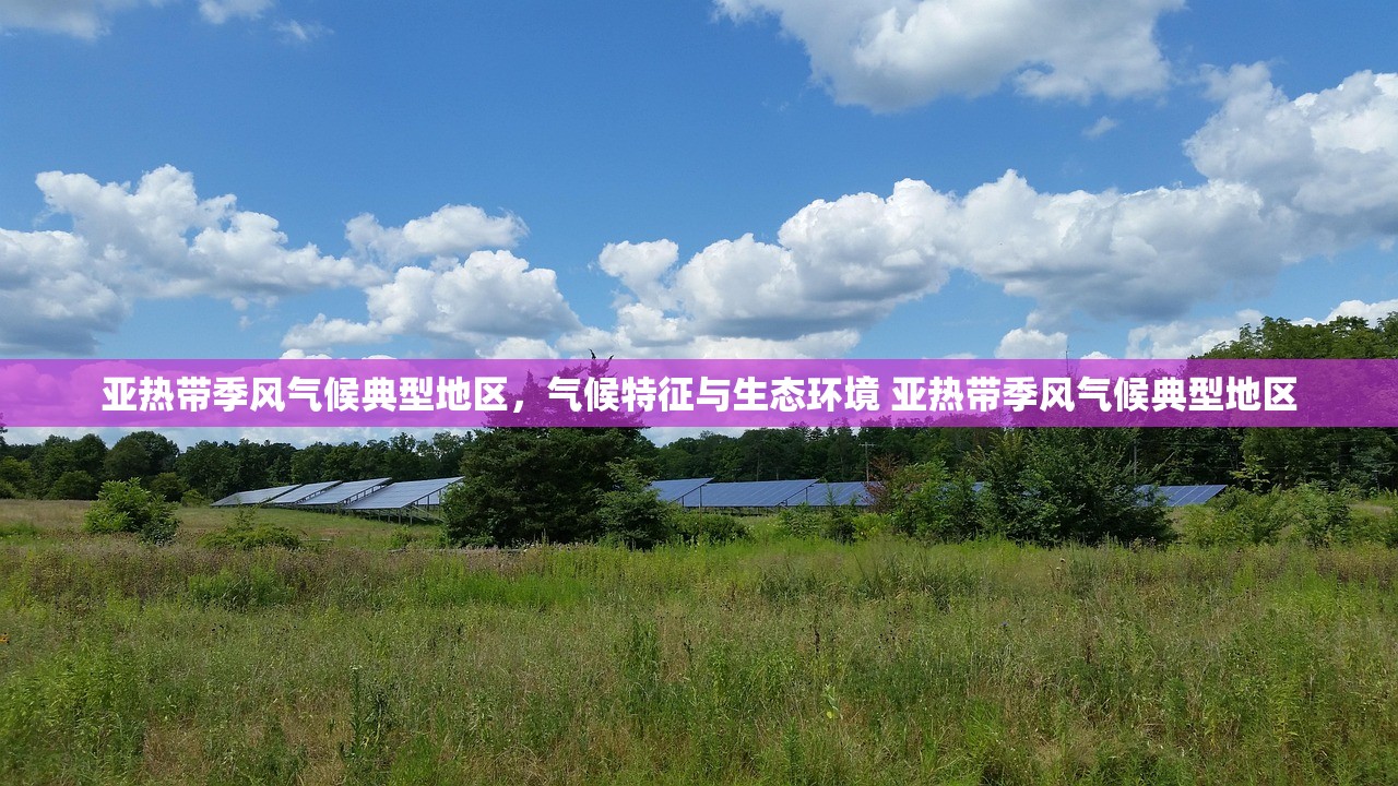 亚热带季风气候典型地区，气候特征与生态环境 亚热带季风气候典型地区