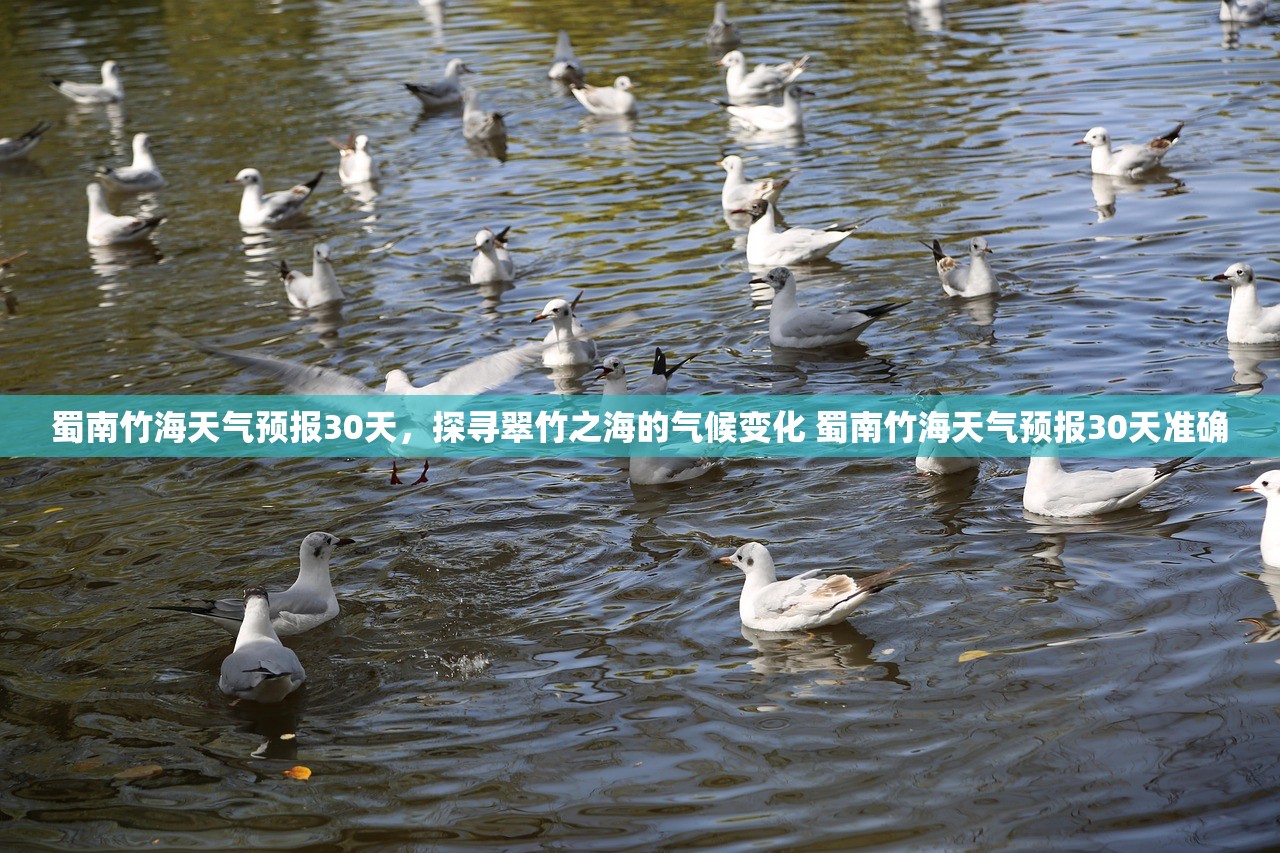蜀南竹海天气预报30天，探寻翠竹之海的气候变化 蜀南竹海天气预报30天准确