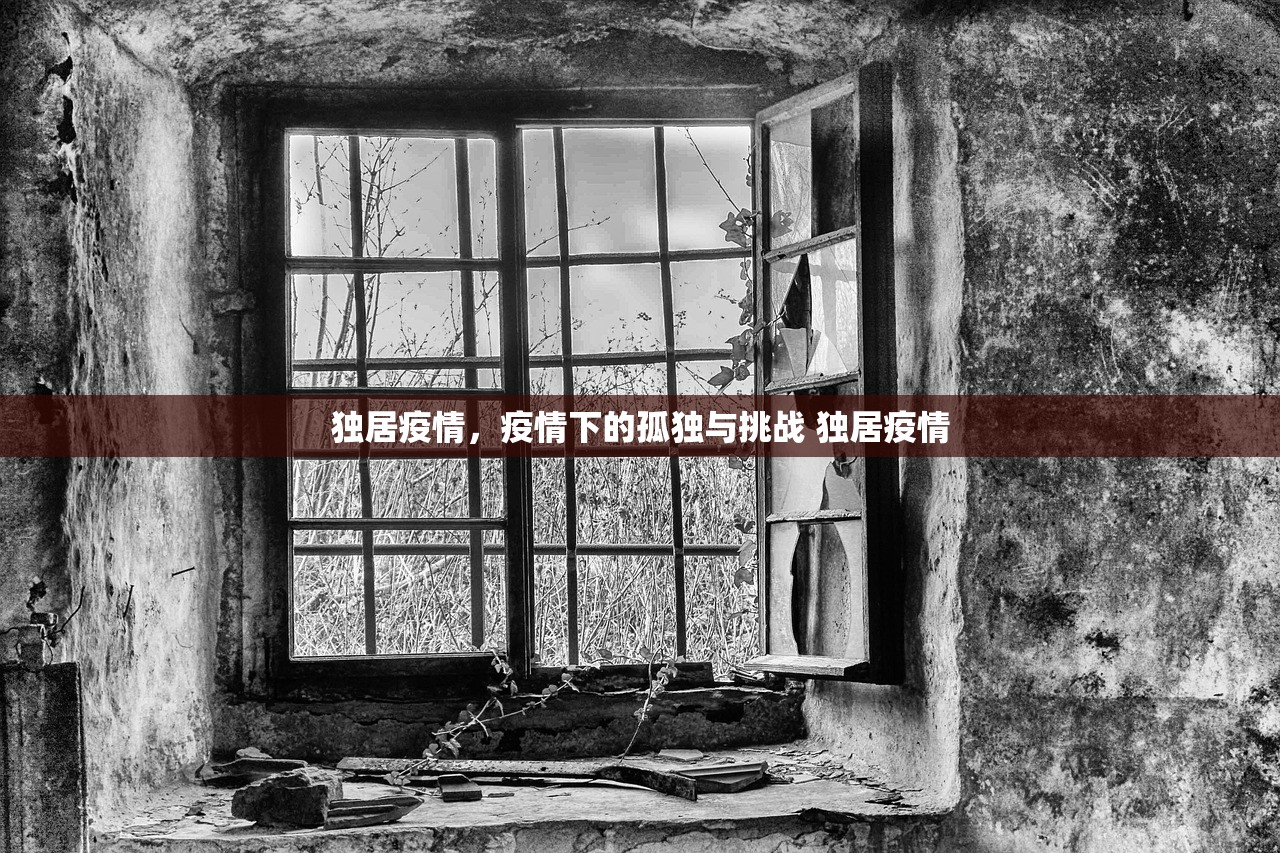 独居疫情，疫情下的孤独与挑战 独居疫情