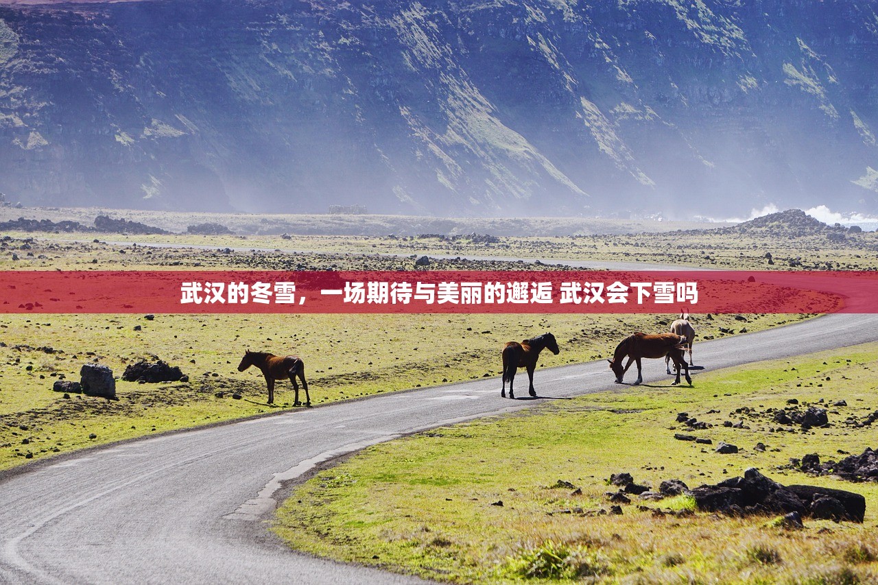 武汉的冬雪，一场期待与美丽的邂逅 武汉会下雪吗