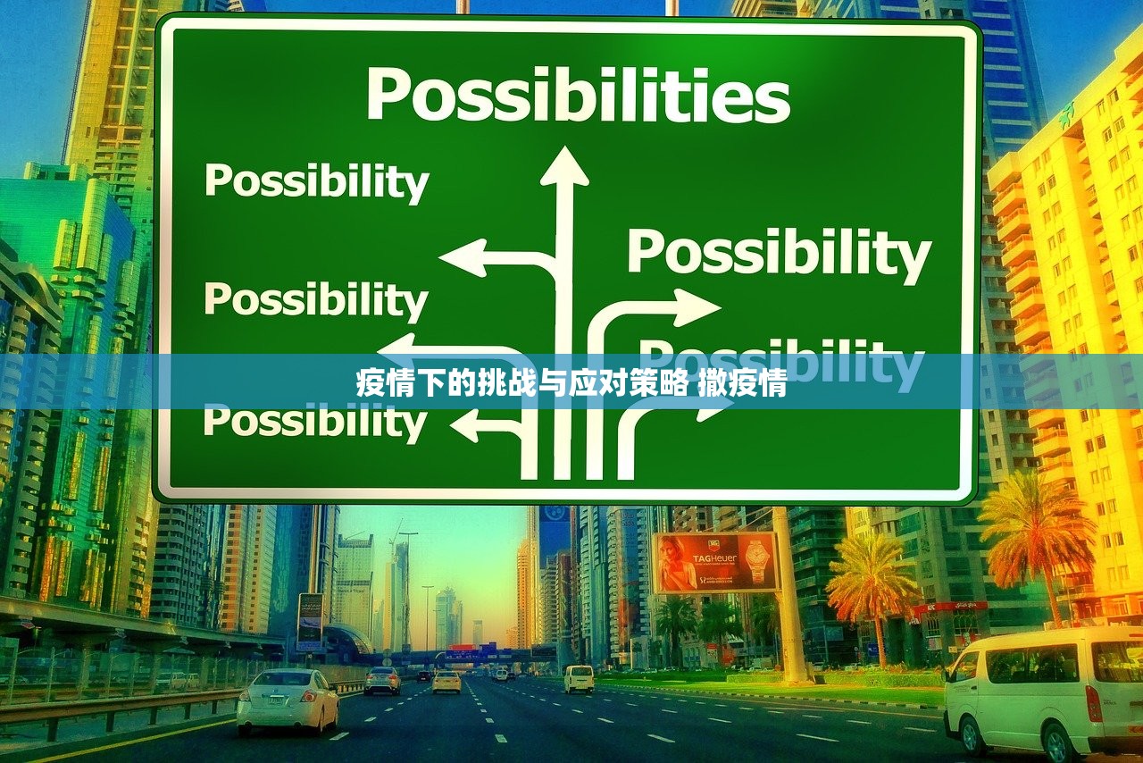 疫情下的挑战与应对策略 撒疫情