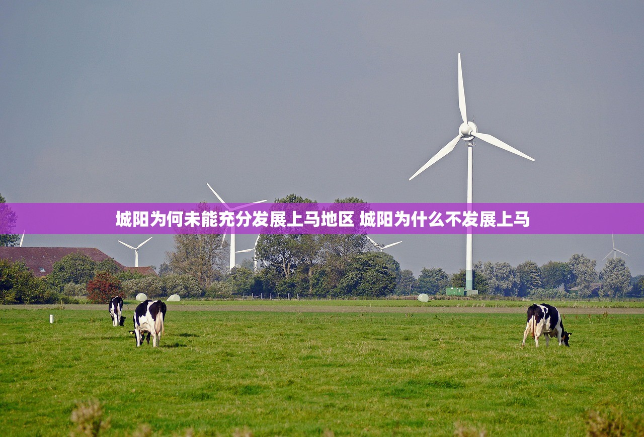 城阳为何未能充分发展上马地区 城阳为什么不发展上马