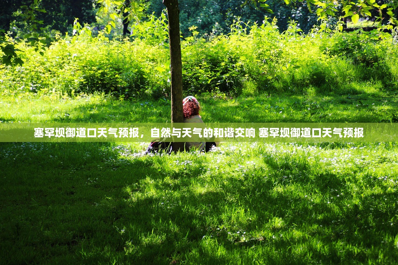 塞罕坝御道口天气预报，自然与天气的和谐交响 塞罕坝御道口天气预报
