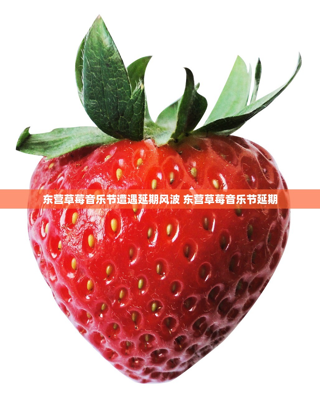 东营草莓音乐节遭遇延期风波 东营草莓音乐节延期
