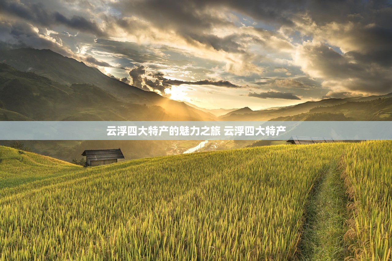云浮四大特产的魅力之旅 云浮四大特产