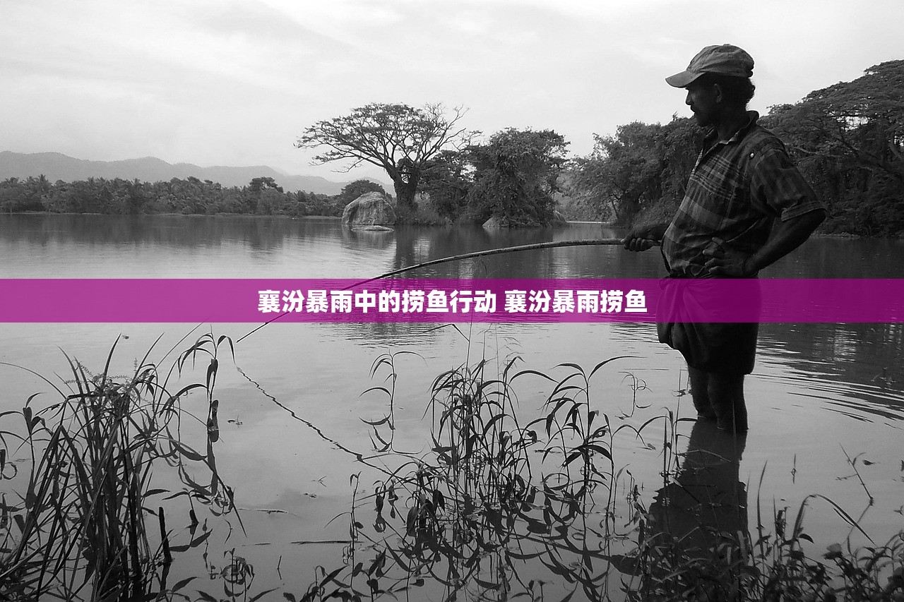 襄汾暴雨中的捞鱼行动 襄汾暴雨捞鱼