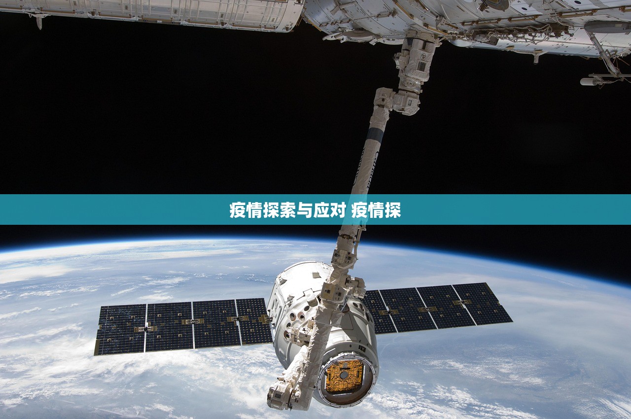 疫情探索与应对 疫情探