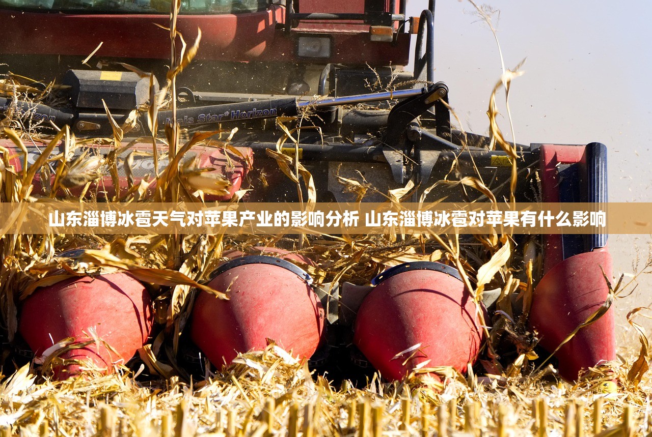 山东淄博冰雹天气对苹果产业的影响分析 山东淄博冰雹对苹果有什么影响