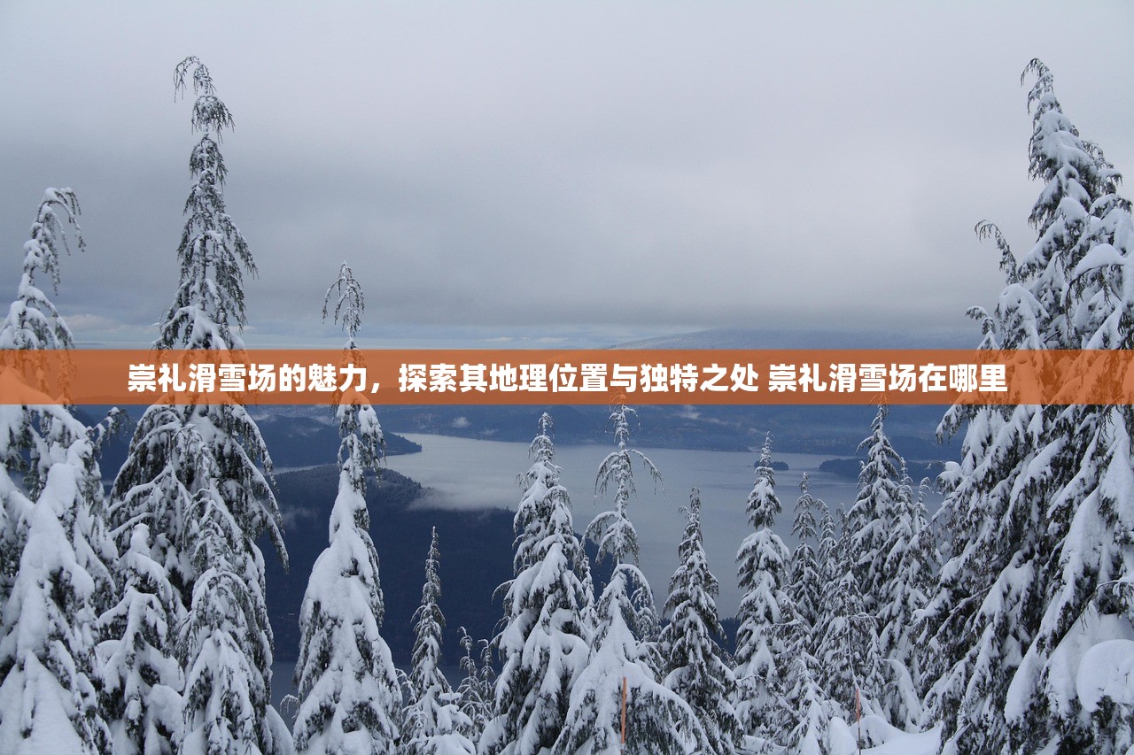 崇礼滑雪场的魅力，探索其地理位置与独特之处 崇礼滑雪场在哪里