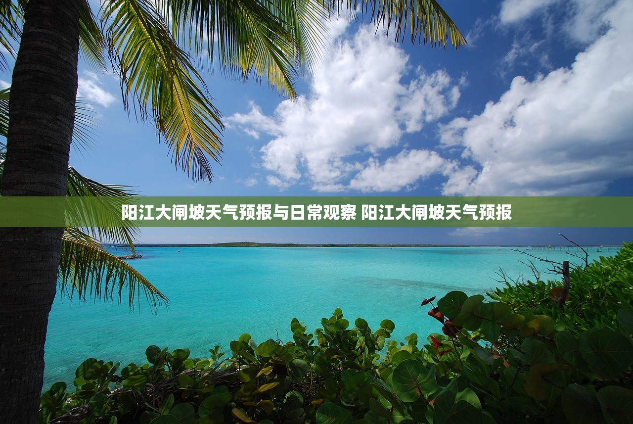 阳江大闸坡天气预报与日常观察 阳江大闸坡天气预报 阳江大闸坡天气预报与日常观察 阳江大闸坡天气预报