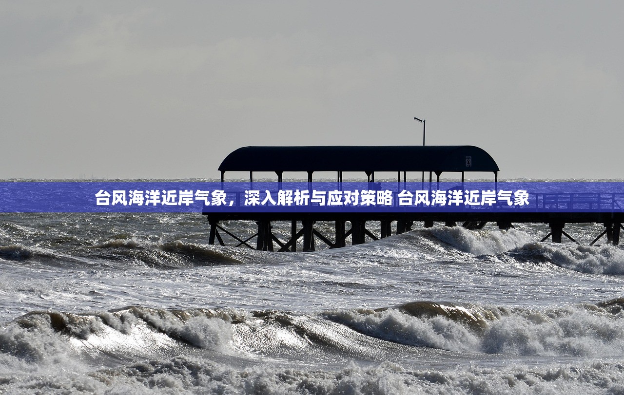 台风海洋近岸气象，深入解析与应对策略 台风海洋近岸气象