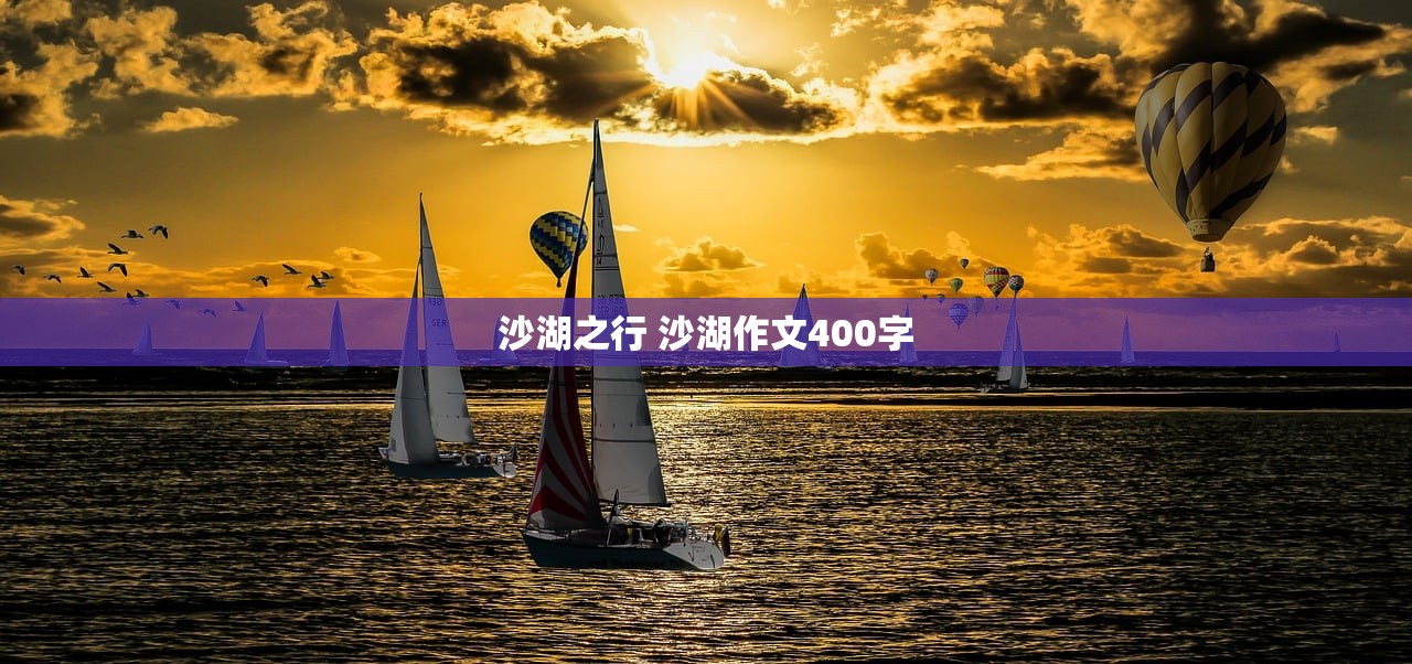 沙湖之行 沙湖作文400字