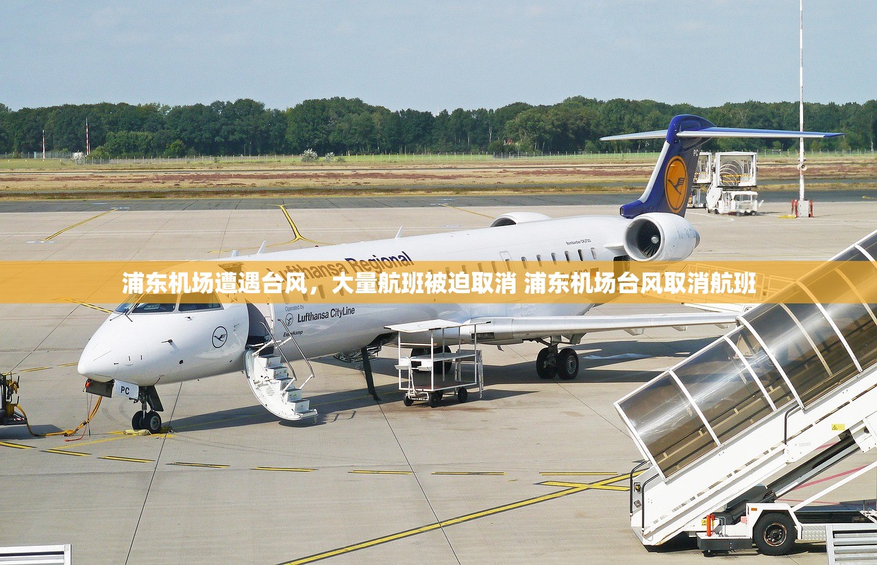 浦东机场遭遇台风，大量航班被迫取消 浦东机场台风取消航班