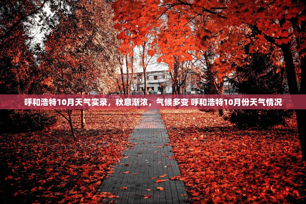 呼和浩特10月天气实录，秋意渐浓，气候多变 呼和浩特10月份天气情况