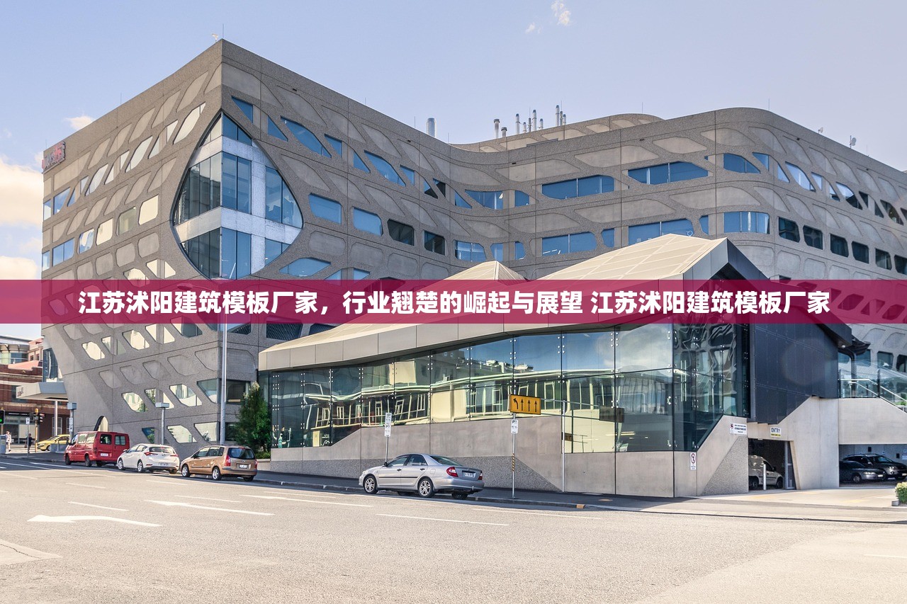 江苏沭阳建筑模板厂家，行业翘楚的崛起与展望 江苏沭阳建筑模板厂家