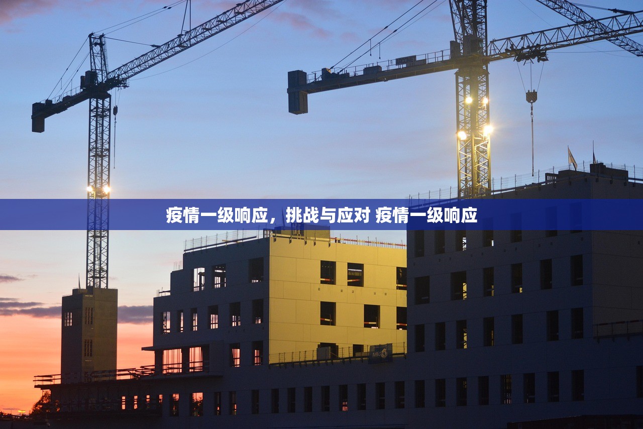 疫情一级响应，挑战与应对 疫情一级响应