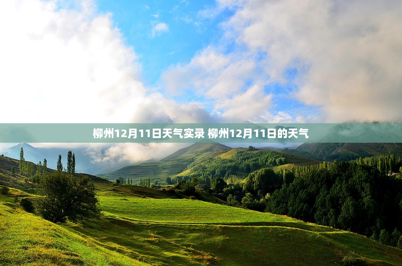 柳州12月11日天气实录 柳州12月11日的天气