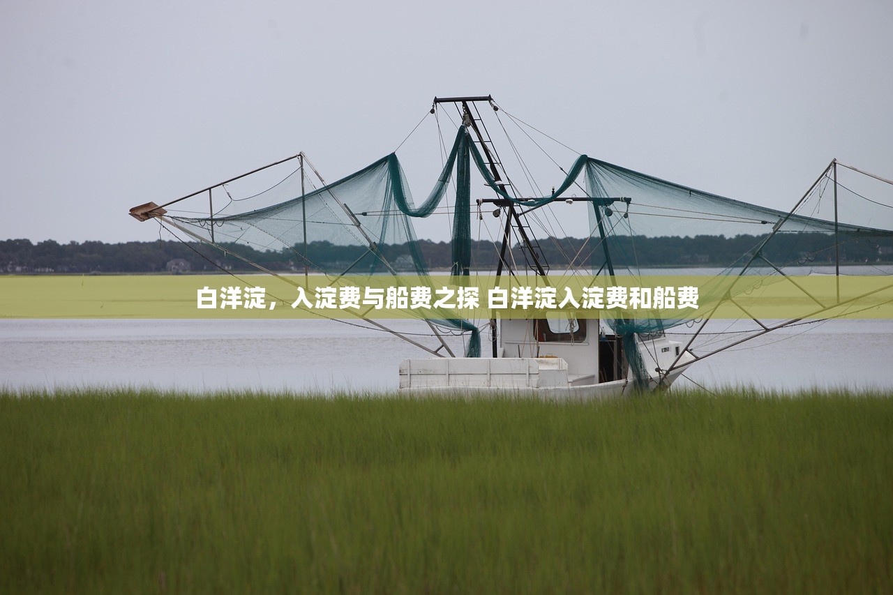 白洋淀，入淀费与船费之探 白洋淀入淀费和船费
