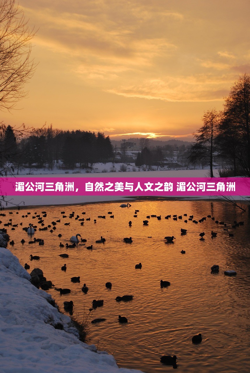湄公河三角洲，自然之美与人文之韵 湄公河三角洲