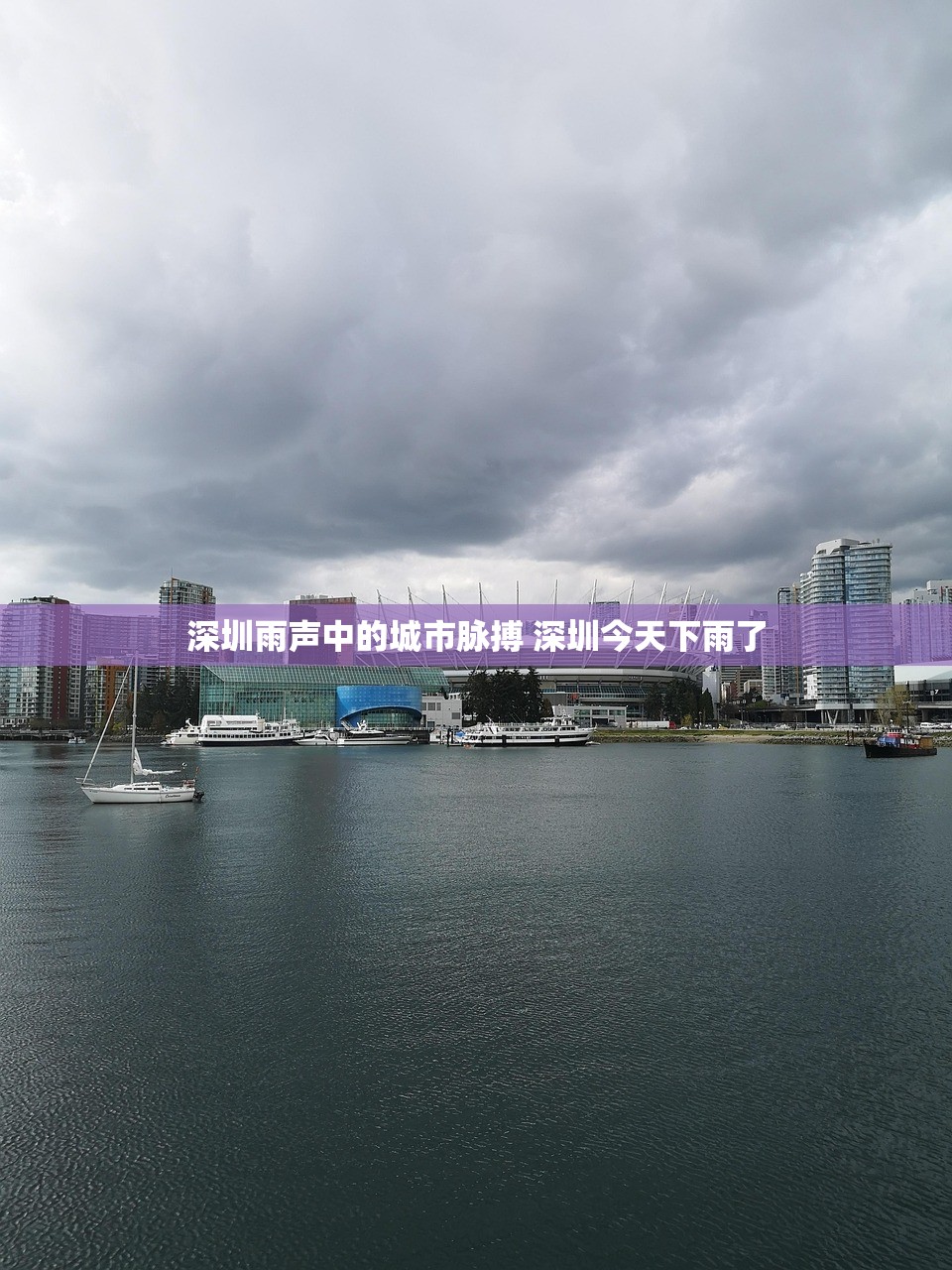 深圳雨声中的城市脉搏 深圳今天下雨了