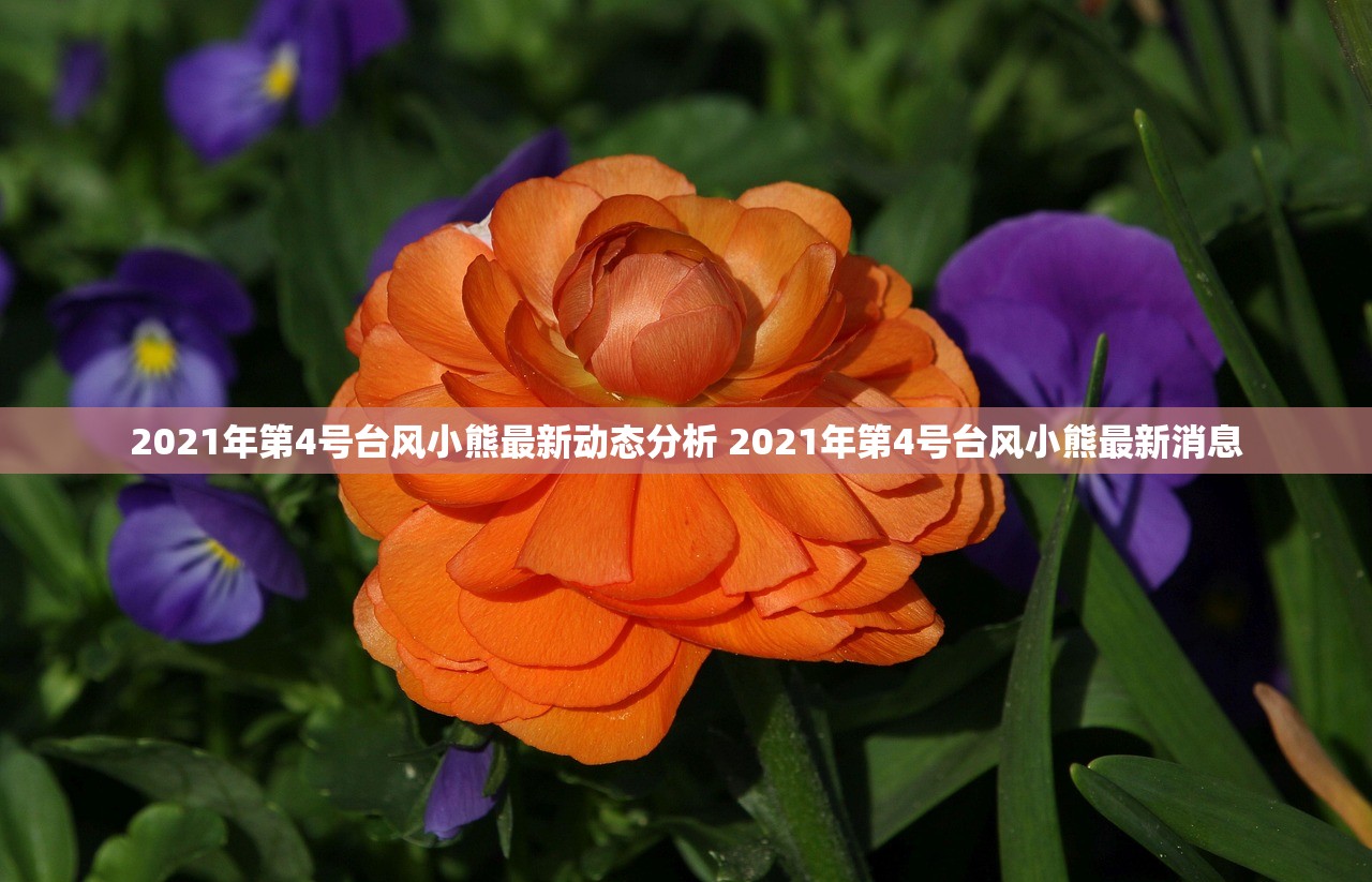 2021年第4号台风小熊最新动态分析 2021年第4号台风小熊最新消息