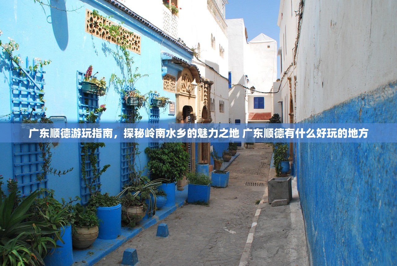 广东顺德游玩指南，探秘岭南水乡的魅力之地 广东顺德有什么好玩的地方