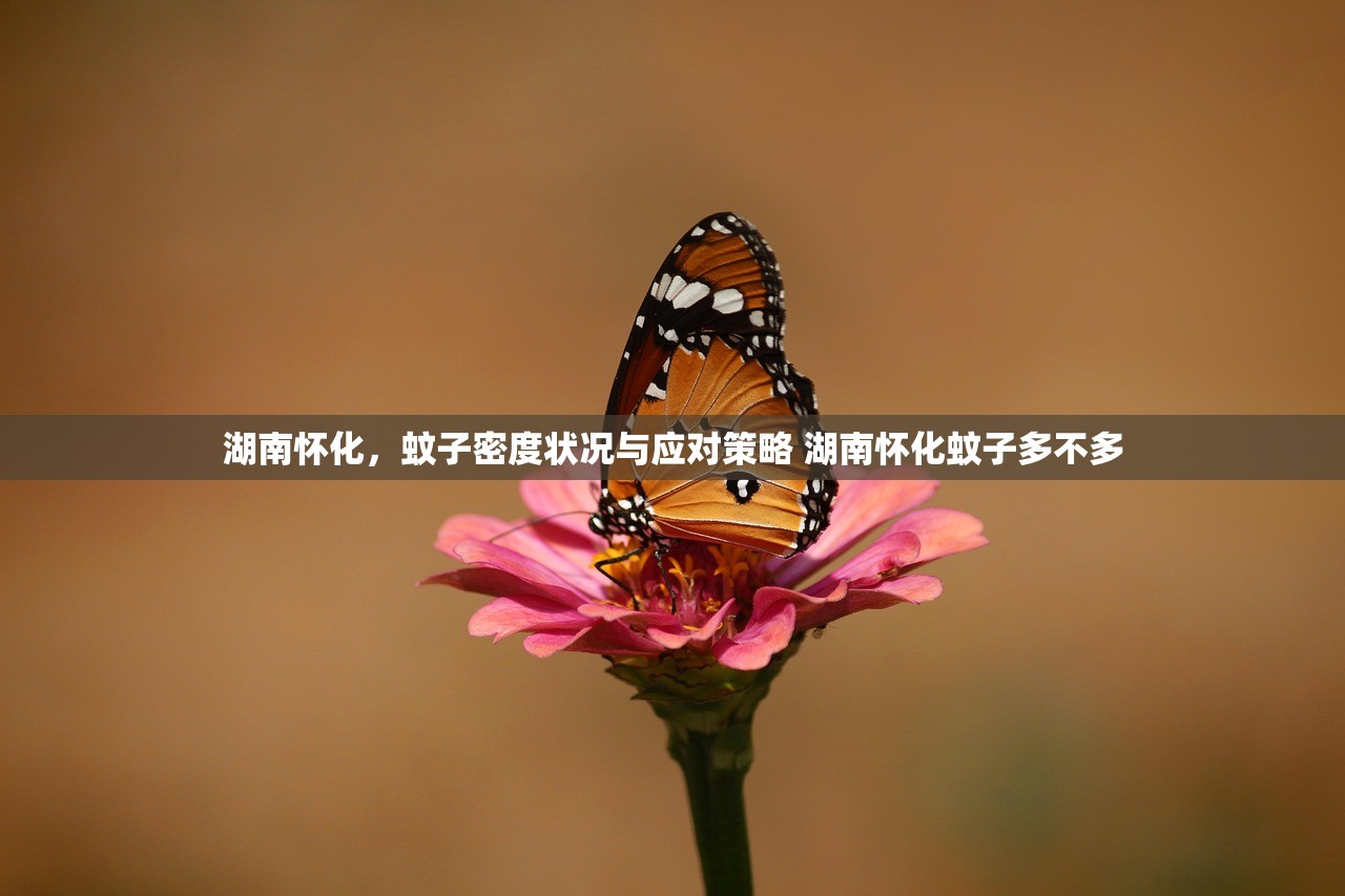 湖南怀化，蚊子密度状况与应对策略 湖南怀化蚊子多不多